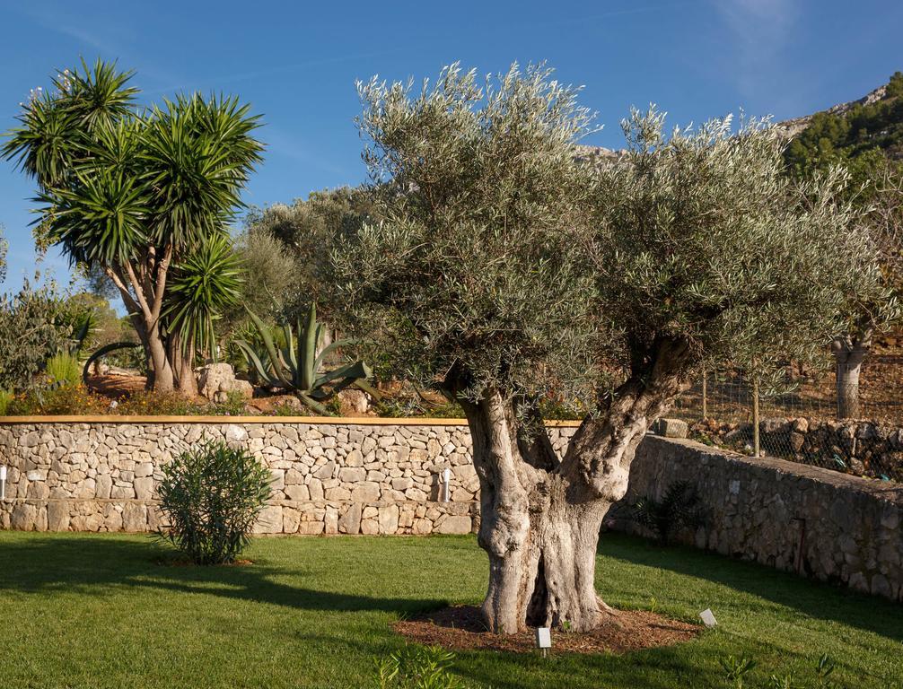 Agroturismo S'Arbocar Sant Llorenc Des Cardassar Exterior foto