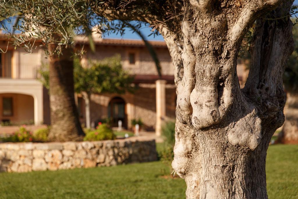 Agroturismo S'Arbocar Sant Llorenc Des Cardassar Exterior foto